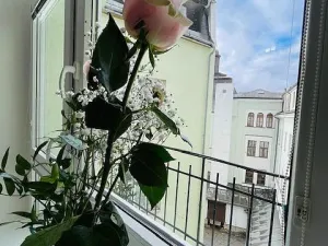 Prodej bytu 3+1, Liberec - Liberec I-Staré Město, 5. května, 89 m2