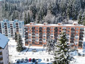 Prodej bytu 2+kk, Jiřetín pod Bukovou, 41 m2