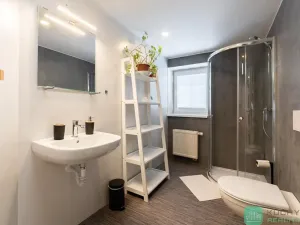 Prodej rodinného domu, Loučná pod Klínovcem, 183 m2