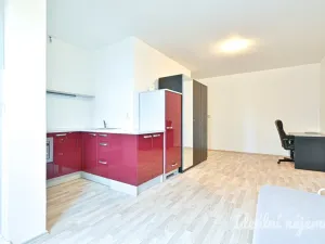 Pronájem bytu 1+kk, Brno, Stará, 32 m2