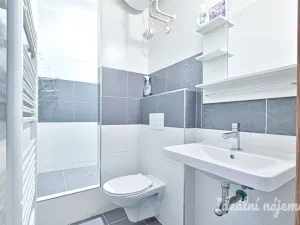 Pronájem bytu 1+kk, Brno - Zábrdovice, Stará, 32 m2