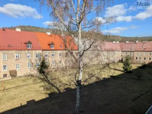 Prodej bytu 2+1, Litvínov - Horní Litvínov, Podkrušnohorská, 57 m2