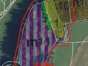 Prodej lesa, Libecina - Javorníček, 15596 m2