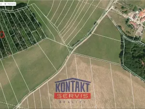 Prodej lesa, Letiny - Svárkov, 12818 m2