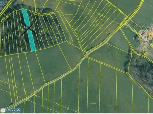 Prodej lesa, Letiny - Svárkov, 10142 m2