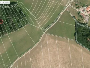 Prodej lesa, Letiny - Svárkov, 10142 m2