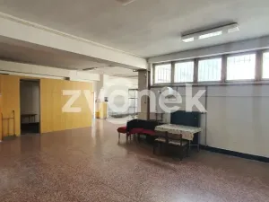 Pronájem obchodního prostoru, Polešovice, 320 m2