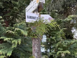 Prodej chalupy, Srní, 120 m2