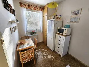 Prodej bytu 2+1, Bruntál, Lidická, 45 m2