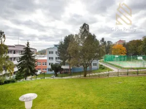 Prodej bytu 4+1, Most, F. L. Čelakovského, 70 m2