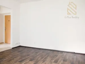 Pronájem bytu 1+1, Most, Lesní, 30 m2