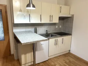 Pronájem bytu 1+kk, Brno - Líšeň, Molákova, 43 m2