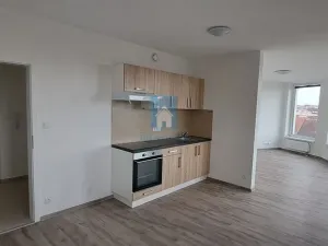 Pronájem bytu 1+kk, Plzeň, Železniční, 43 m2