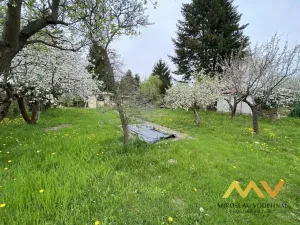 Pronájem chaty, Hradec Králové, Kmochova, 20 m2