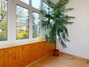 Prodej bytu 3+1, Jihlava, Svatopluka Čecha, 100 m2