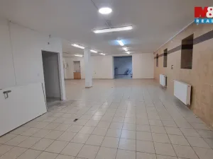 Pronájem obchodního prostoru, Český Těšín, Ostravská, 230 m2