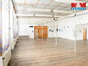 Pronájem obchodního prostoru, Hradešice, 345 m2