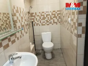 Pronájem obchodního prostoru, Ústí nad Labem - Klíše, Masarykova, 32 m2