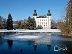 Prodej bytu 2+1, Vrchlabí, Revoluční, 54 m2