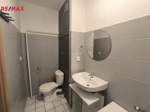 Pronájem bytu 2+1, Sokolov, Sokolovská, 56 m2