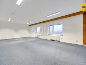 Pronájem obchodního prostoru, Babice, 300 m2