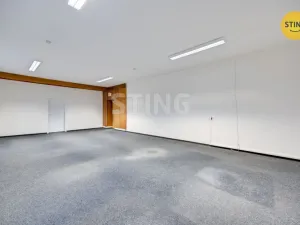 Pronájem obchodního prostoru, Babice, 300 m2