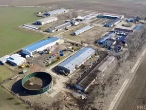 Prodej výrobních prostor, Nosislav, 1980 m2