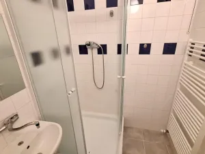 Pronájem bytu 1+1, Teplice, Americká, 50 m2