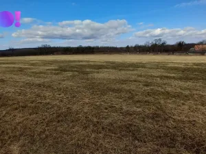 Prodej pole, Šanov, 61315 m2