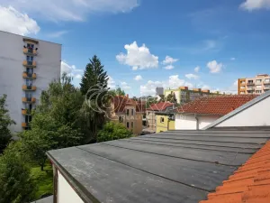 Prodej bytu 2+kk, České Budějovice - České Budějovice 3, Puklicova, 41 m2