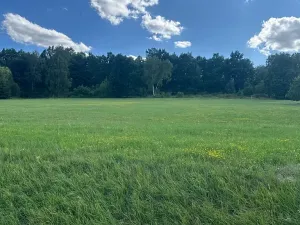 Prodej pozemku pro bydlení, Albrechtice nad Vltavou, 5665 m2