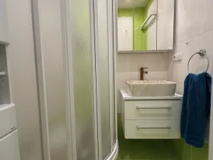 Prodej bytu 2+1, Brno - Žabovřesky, Mozolky, 51 m2