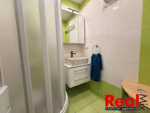 Prodej bytu 2+1, Brno - Žabovřesky, Mozolky, 51 m2