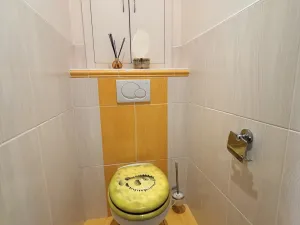 Prodej bytu 2+1, Brno - Žabovřesky, Mozolky, 51 m2