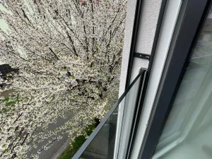 Prodej činžovního domu, Brno - Královo Pole, 314 m2