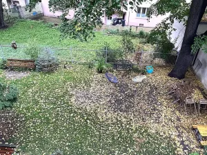 Pronájem bytu 3+1, Praha - Nusle, Nad studánkou, 70 m2