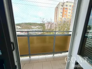 Prodej bytu 1+1, Plzeň, Na Dlouhých, 36 m2