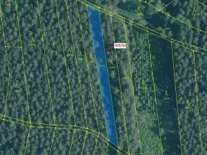 Dražba lesa, Hosty, 1258 m2