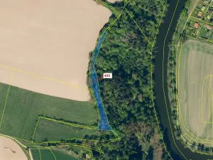 Dražba lesa, Vlastějovice, 2721 m2