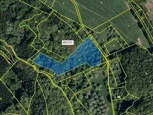 Dražba louky, Slopné, 7426 m2