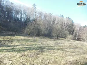 Prodej pozemku pro bydlení, Hrubá Skála, 3738 m2