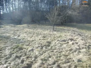 Prodej pozemku pro bydlení, Hrubá Skála, 3738 m2