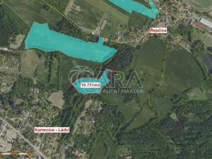 Prodej lesa, Velké Popovice, 19731 m2