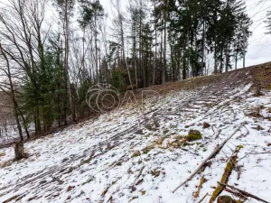 Prodej lesa, Velké Popovice, 19731 m2