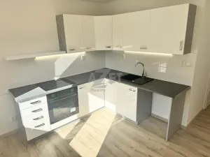 Prodej bytu 1+1, Ostrava - Moravská Ostrava, Josefa Brabce, 40 m2