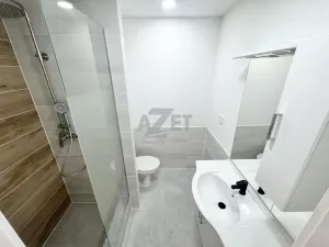 Prodej bytu 1+1, Ostrava - Moravská Ostrava, Josefa Brabce, 40 m2