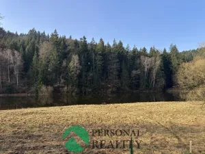 Prodej chaty, Klášterec nad Orlicí - Lhotka, 90 m2