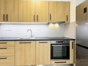 Pronájem bytu 2+kk, Brno, Hlinecká, 52 m2