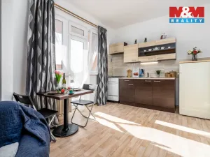 Prodej bytu 1+1, Hradec Králové - Pražské Předměstí, Gočárova třída, 41 m2