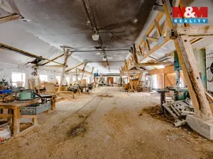 Prodej výrobních prostor, Rychnov nad Kněžnou - Dlouhá Ves, 738 m2